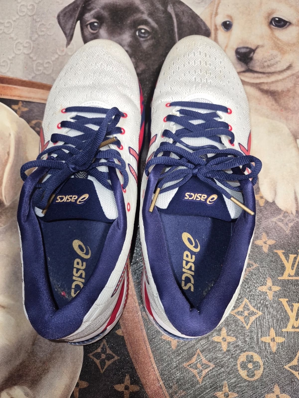 ASICS White Navy Gold Men's Athletic Running Shoes